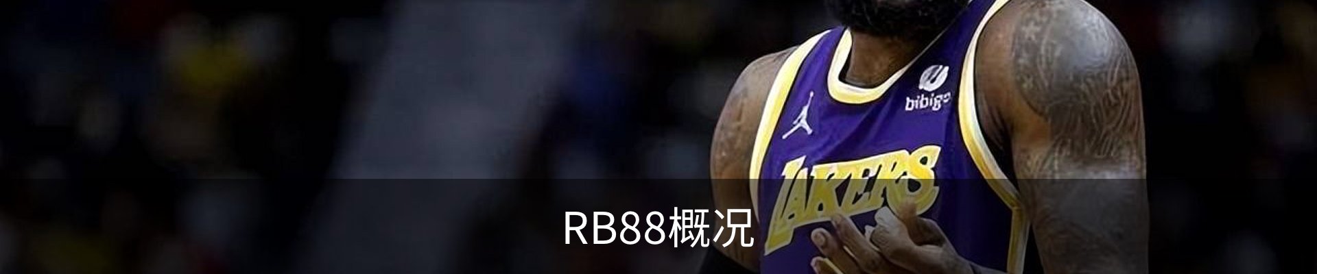 RB88概况